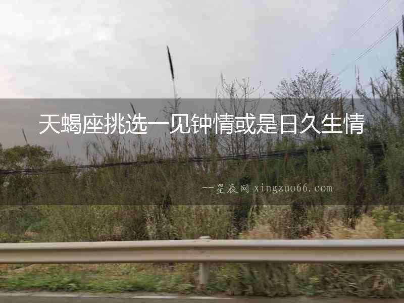 天蝎座挑選一見鐘情或是日久生情