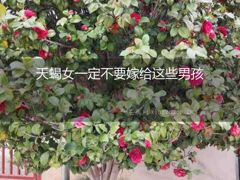 天蝎女一定不要嫁給這些男孩
