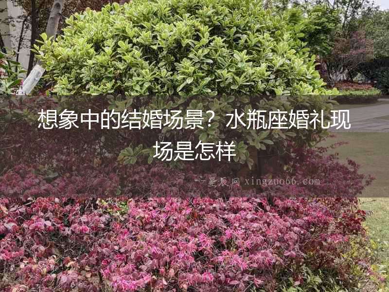 想象中的結婚場景？水瓶座婚禮現場是怎樣