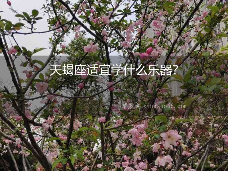 天蝎座適宜學什么樂器？