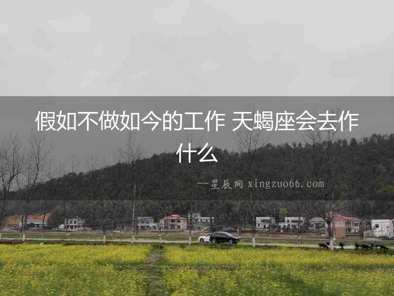假如不做如今的工作 天蝎座會去作什么