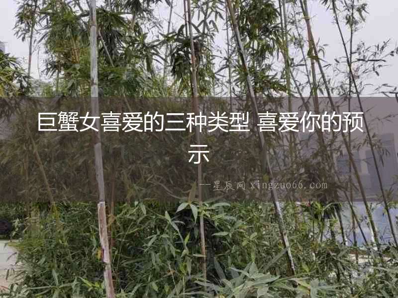 巨蟹女喜愛的三種類型 喜愛你的預示