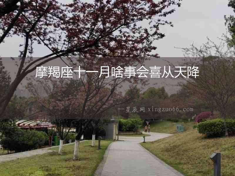 摩羯座十一月啥事會喜從天降