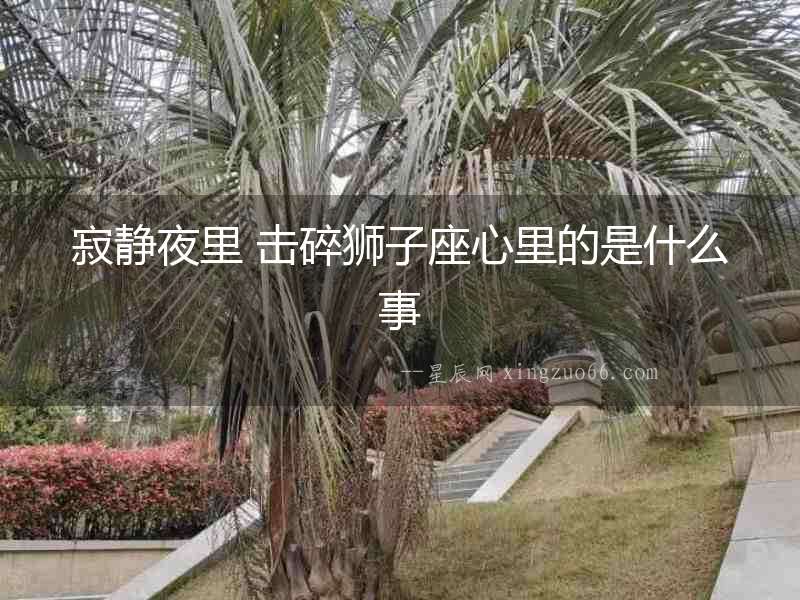 寂靜夜里 擊碎獅子座心里的是什么事
