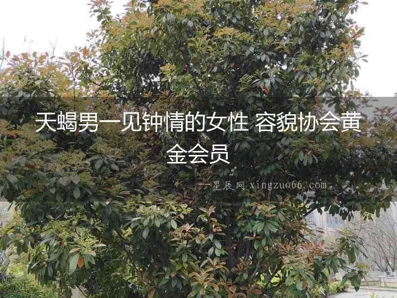 天蝎男一見鐘情的女性 容貌協會黃金會員