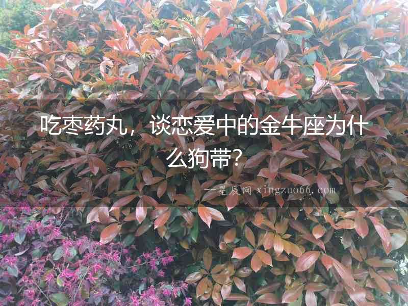 吃棗藥丸，談戀愛中的金牛座為什么狗帶？