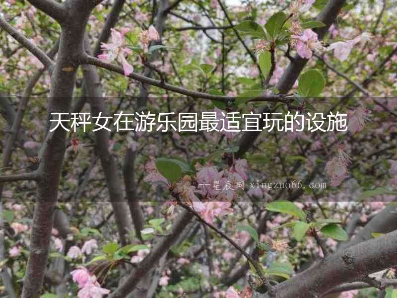 天秤女在游樂園最適宜玩的設施