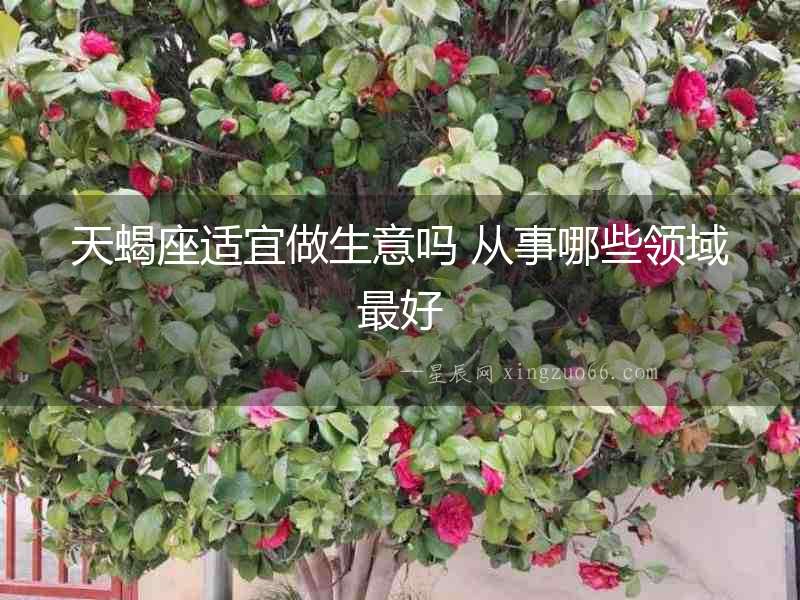天蝎座適宜做生意嗎 從事哪些領域最好