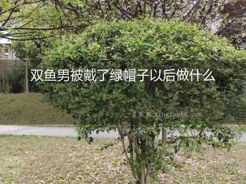 雙魚男被戴了綠帽子以后做什么
