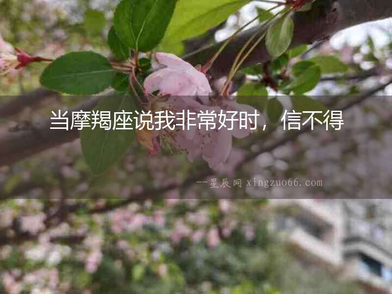 當摩羯座說我非常好時，信不得