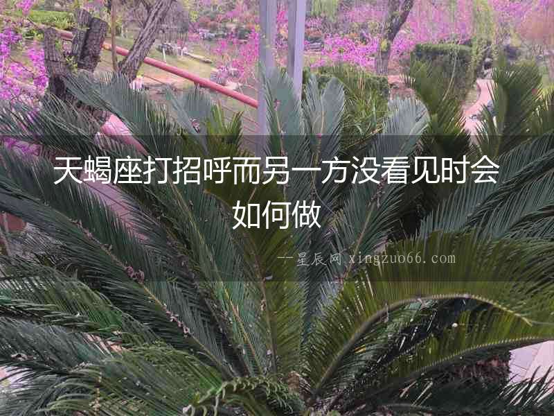 天蝎座打招呼而另一方沒看見時會如何做