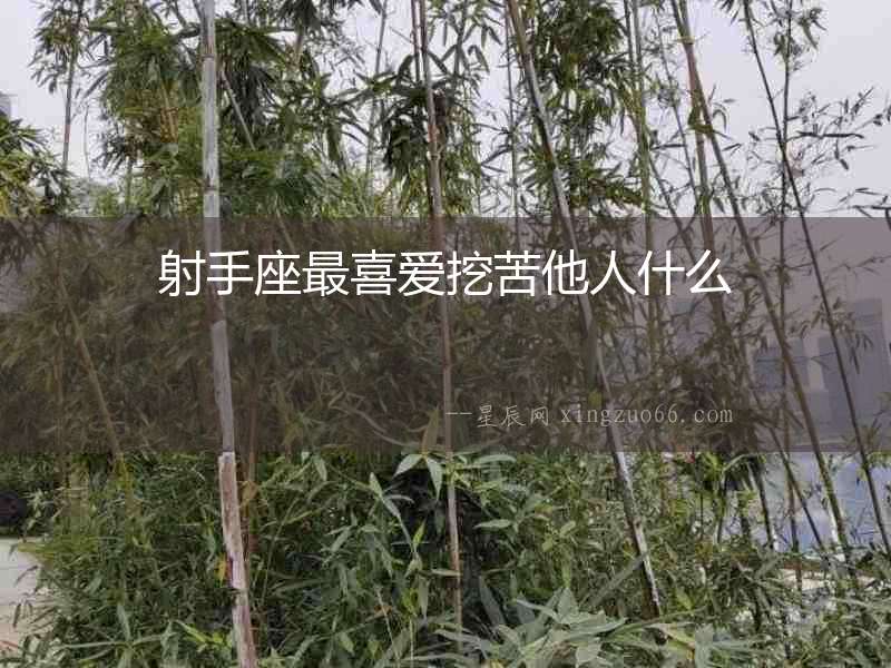 射手座最喜愛挖苦他人什么