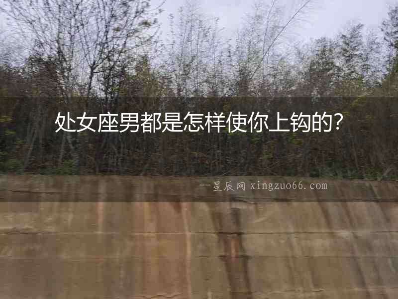 處女座男都是怎樣使你上鉤的？