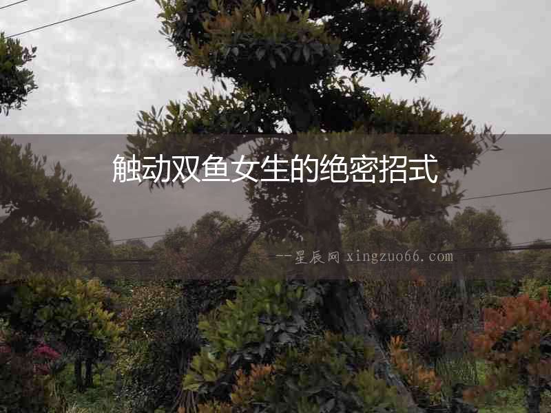觸動雙魚女生的絕密招式