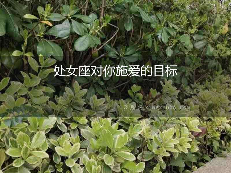 處女座對你施愛的目標