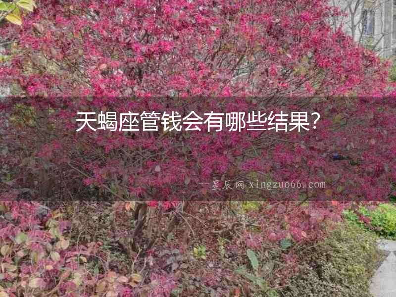 天蝎座管錢會有哪些結果？