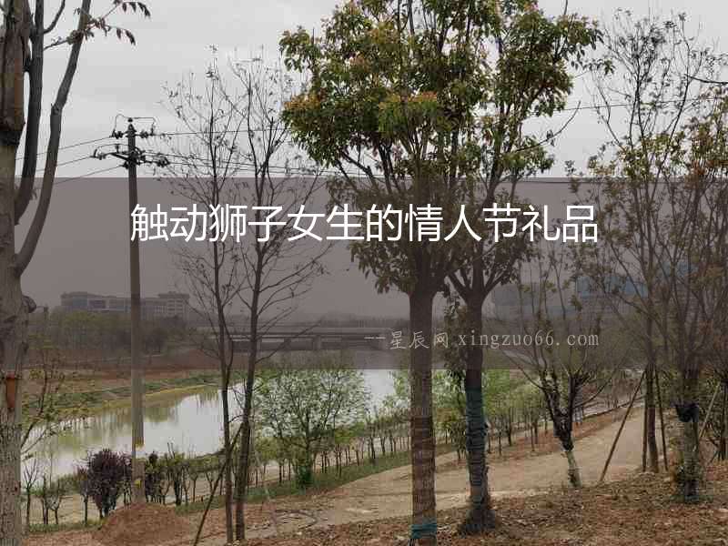 觸動獅子女生的情人節(jié)禮品