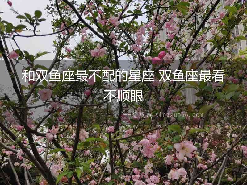 和雙魚座最不配的星座 雙魚座最看不順眼