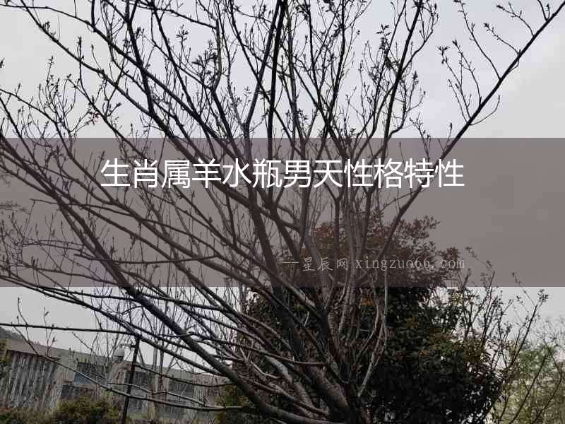 生肖屬羊水瓶男天性格特性