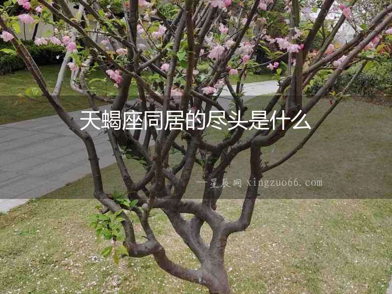 天蝎座同居的盡頭是什么