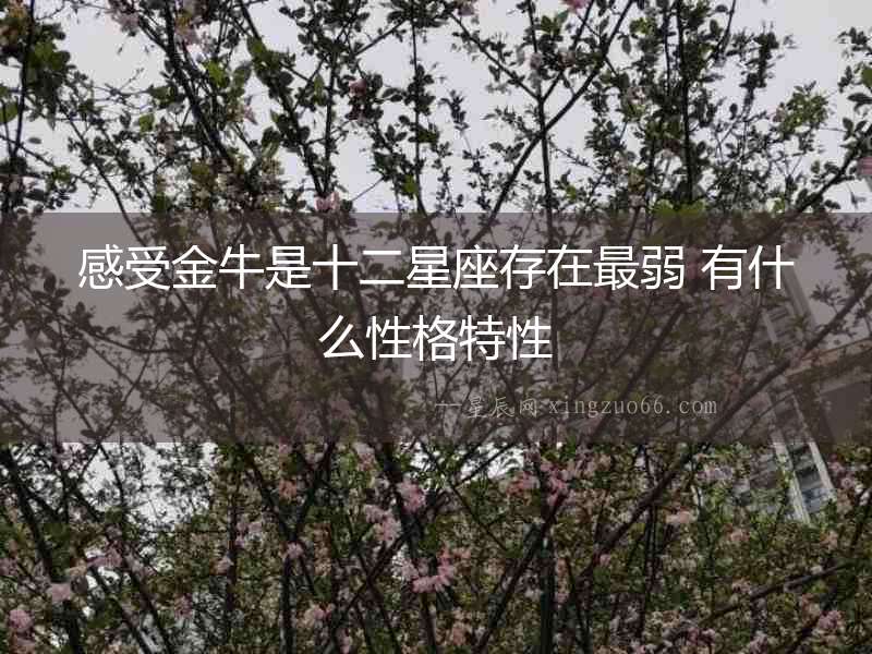 感受金牛是十二星座存在最弱 有什么性格特性