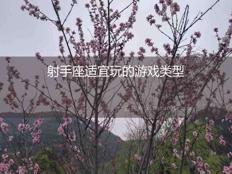 射手座適宜玩的游戲類型