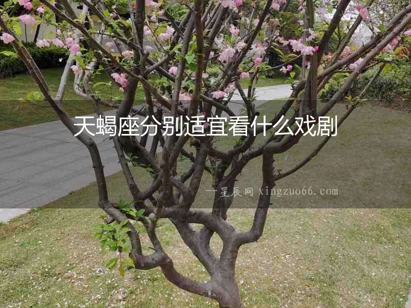 天蝎座分別適宜看什么戲劇
