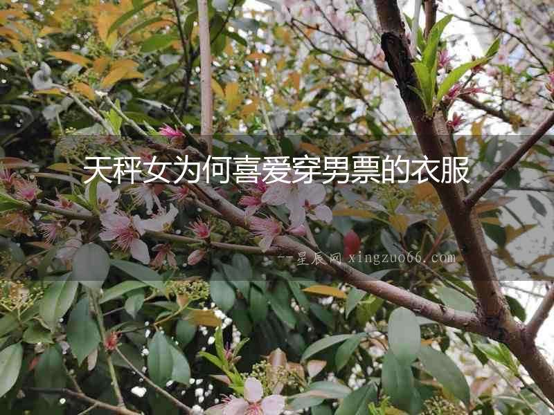 天秤女為何喜愛穿男票的衣服