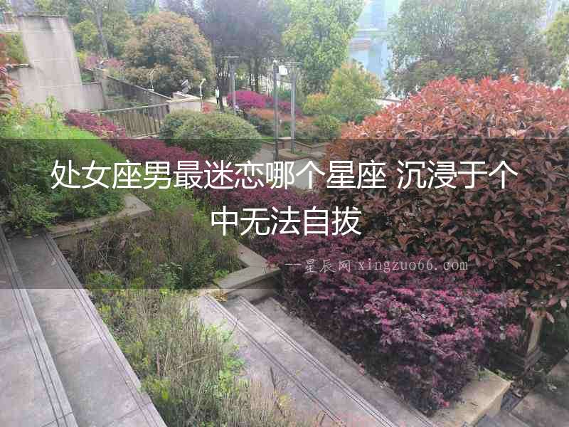 處女座男最迷戀哪個星座 沉浸于個中無法自拔