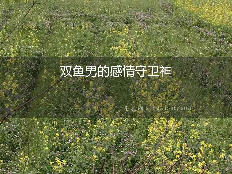 雙魚男的感情守衛神