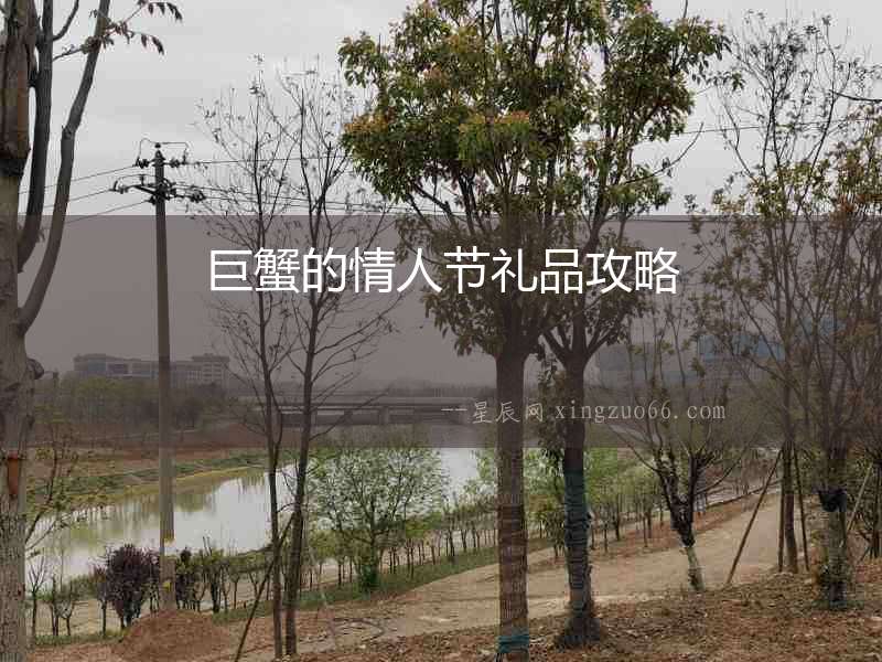 巨蟹的情人節(jié)禮品攻略