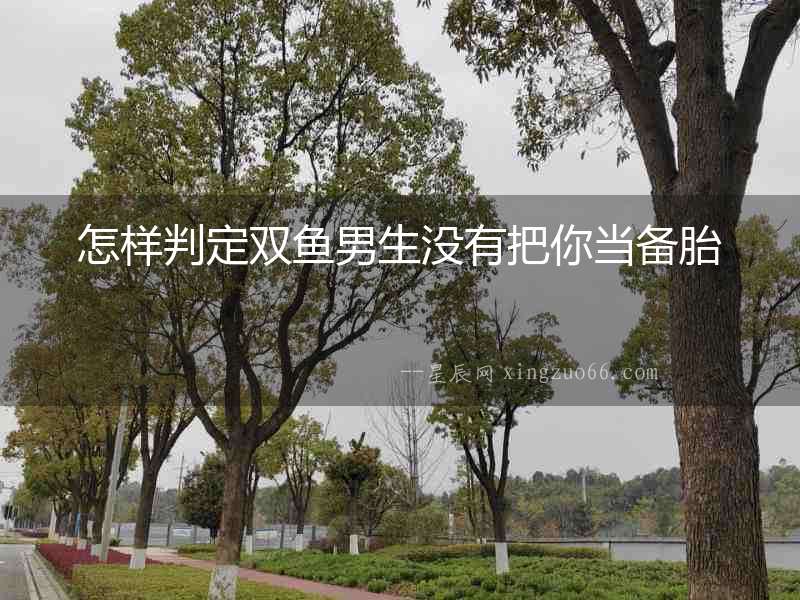 怎樣判定雙魚男生沒有把你當備胎