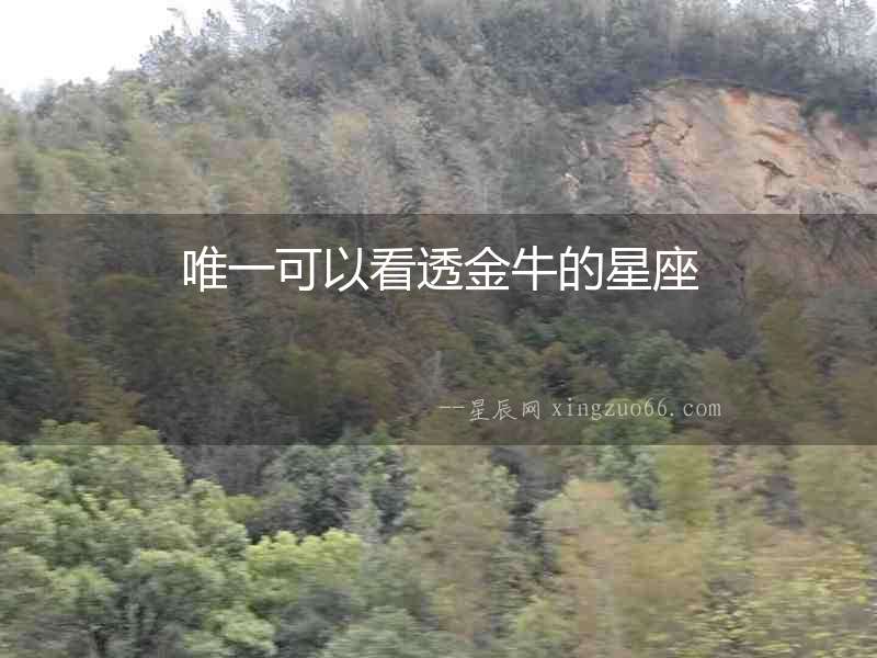 唯一可以看透金牛的星座