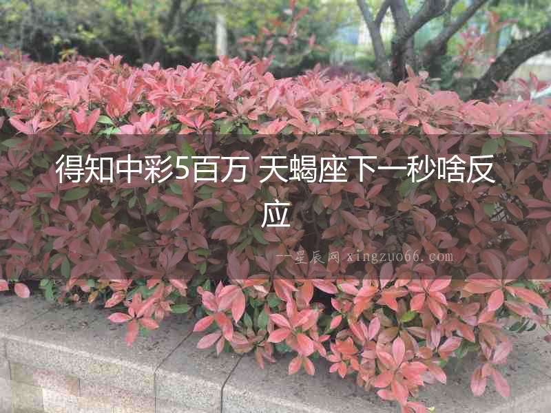 得知中彩5百萬 天蝎座下一秒啥反應