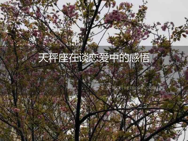 天秤座在談戀愛中的感悟