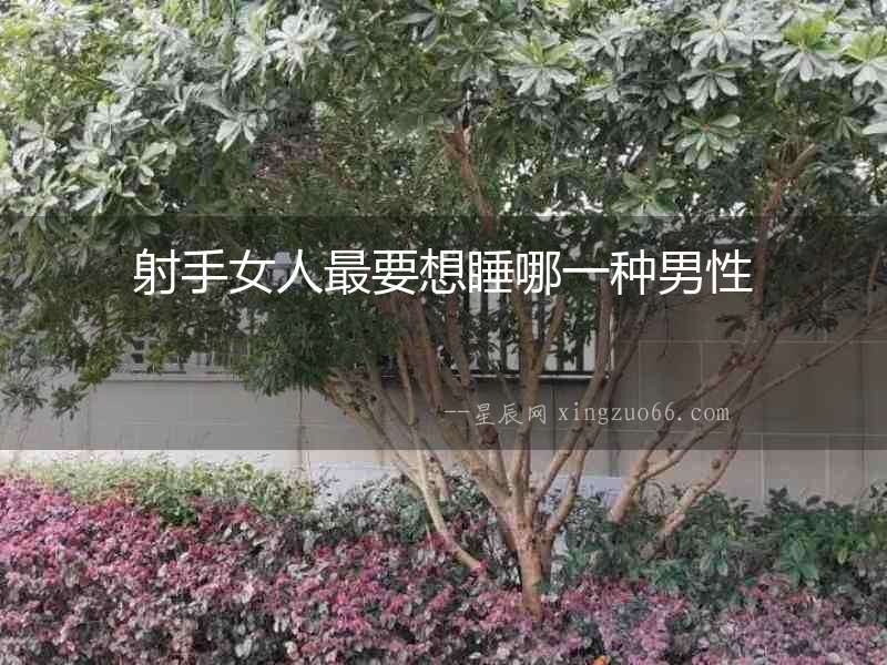 射手女人最要想睡哪一種男性