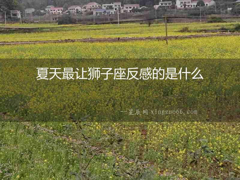 夏天最讓獅子座反感的是什么