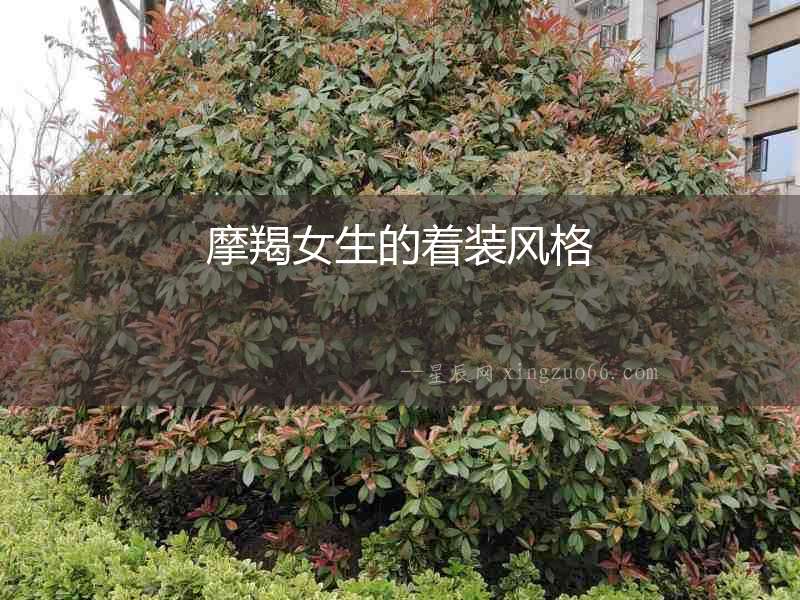 摩羯女生的著裝風格