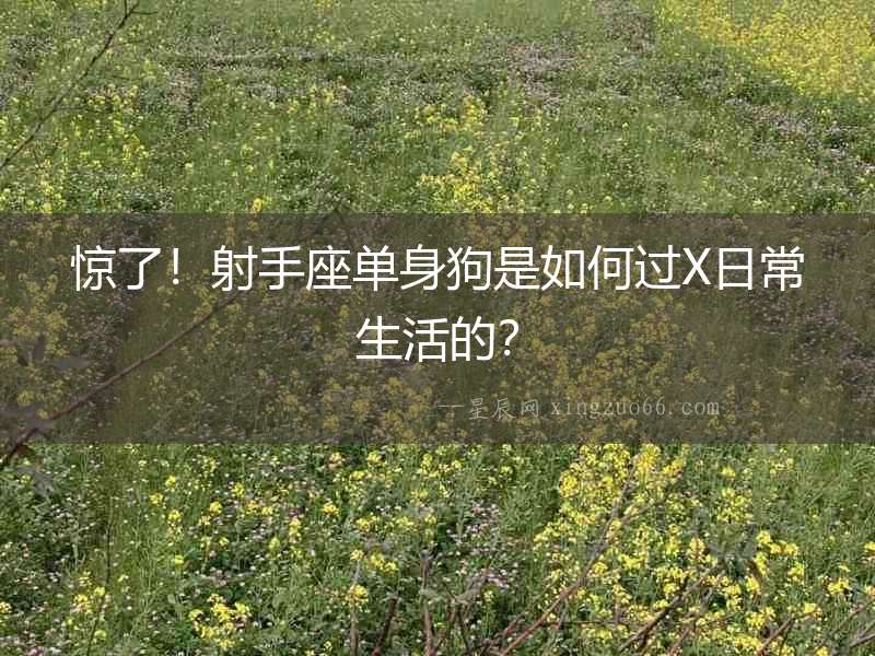 驚了！射手座單身狗是如何過X日常生活的？