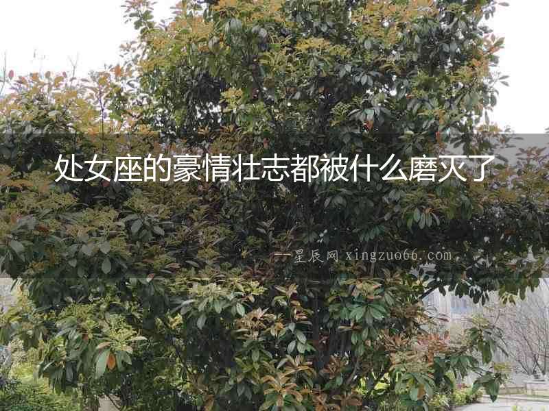處女座的豪情壯志都被什么磨滅了