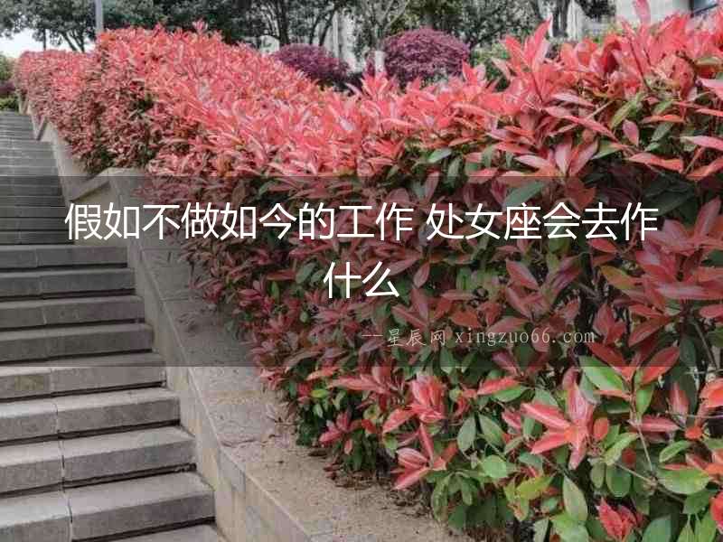 假如不做如今的工作 處女座會去作什么