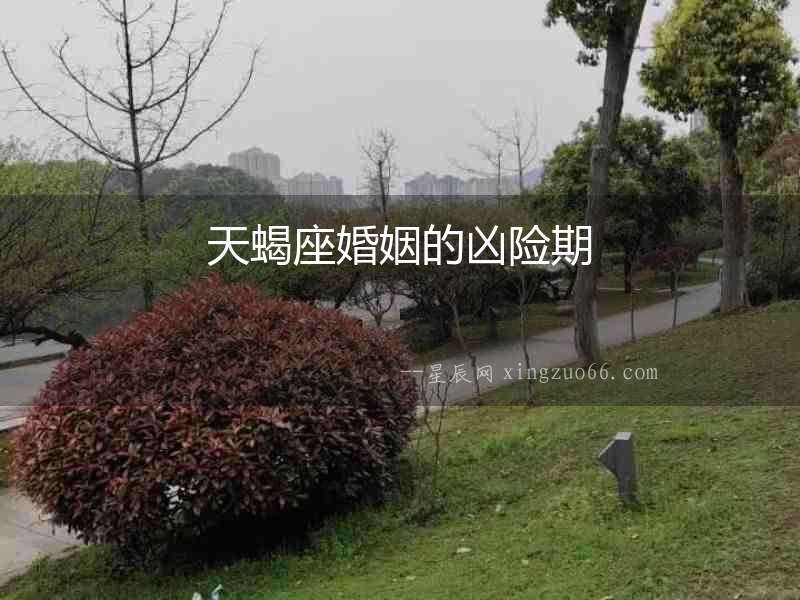 天蝎座婚姻的兇險期
