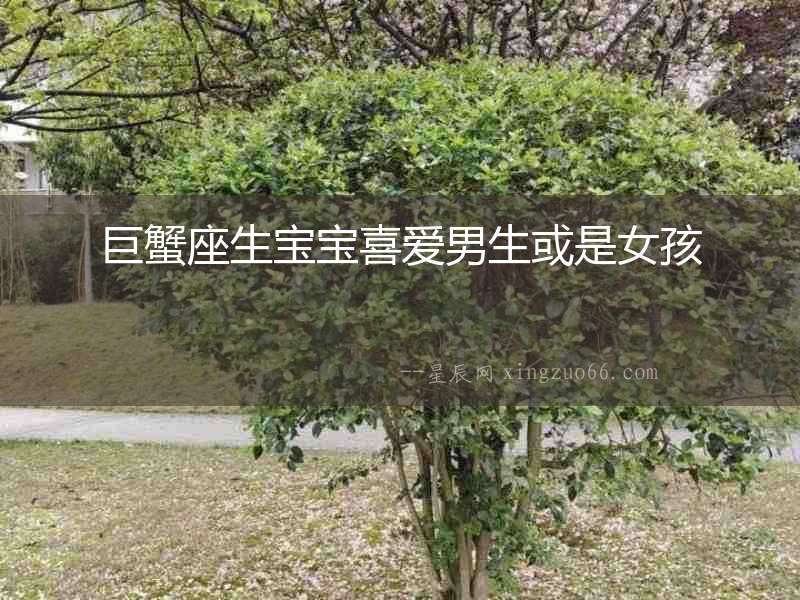 巨蟹座生寶寶喜愛男生或是女孩