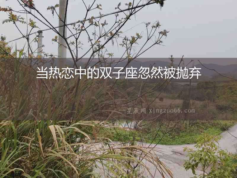 當熱戀中的雙子座忽然被拋棄
