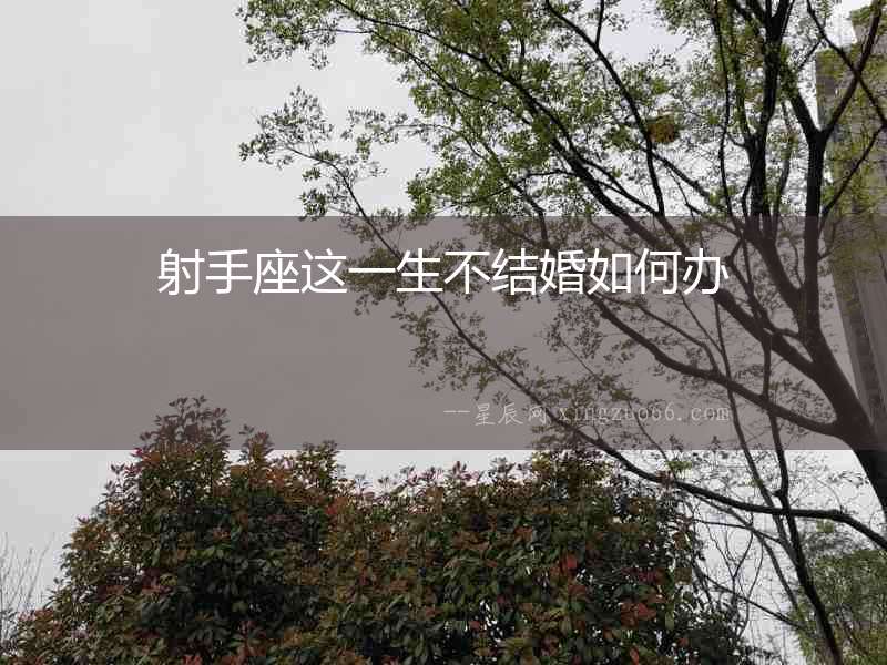 射手座這一生不結(jié)婚如何辦