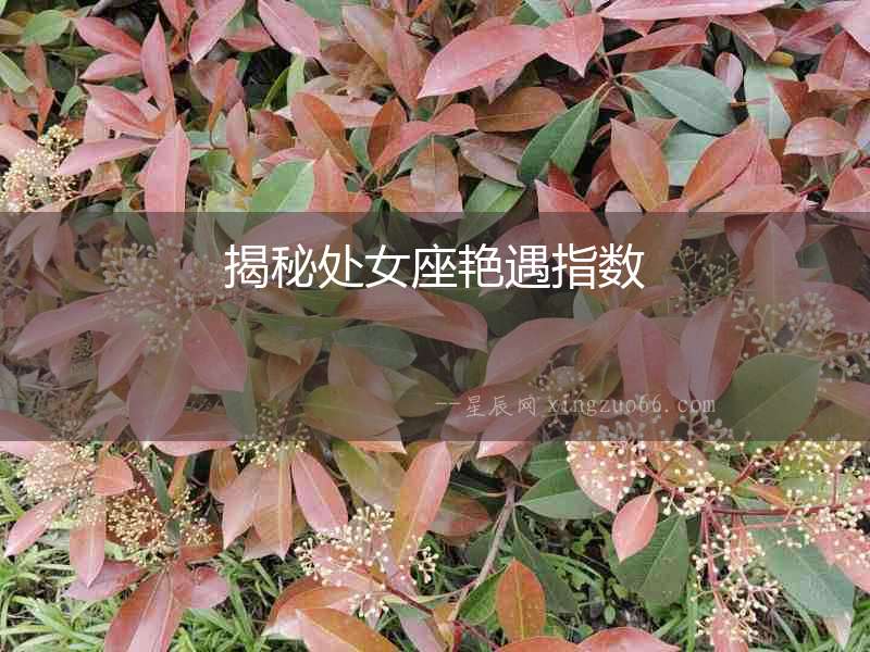 揭秘處女座艷遇指數