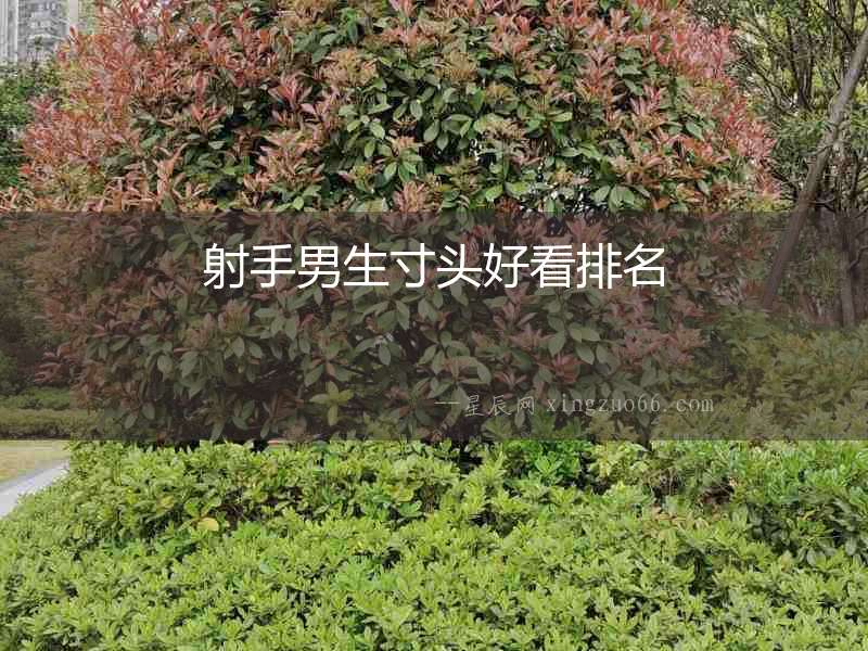 射手男生寸頭好看排名