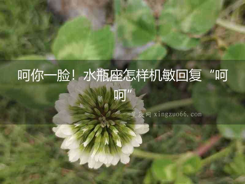 呵你一臉！水瓶座怎樣機敏回復“呵呵”