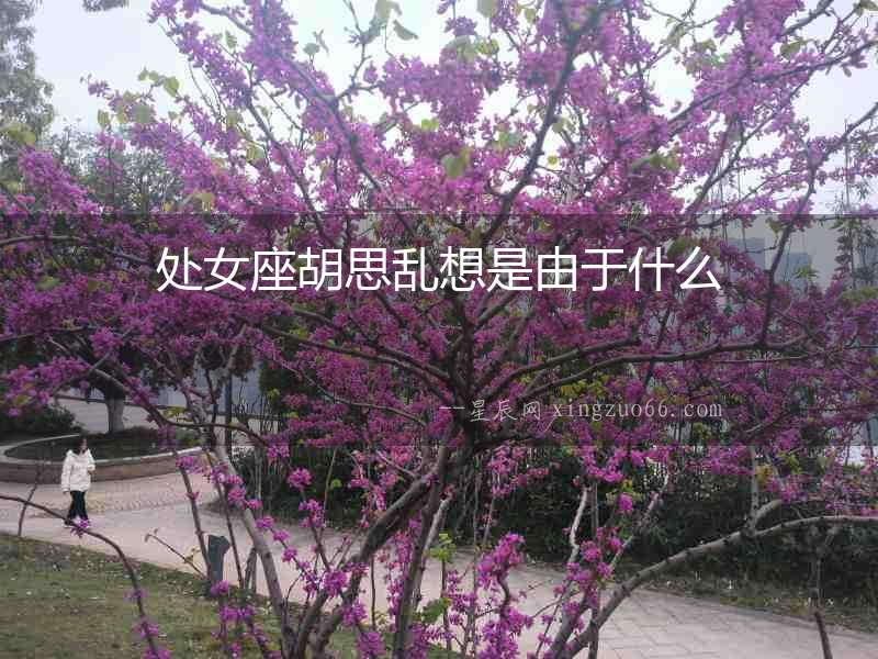 處女座胡思亂想是由于什么