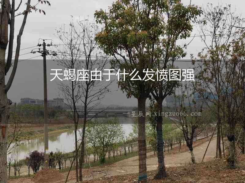 天蝎座由于什么發(fā)憤圖強(qiáng)